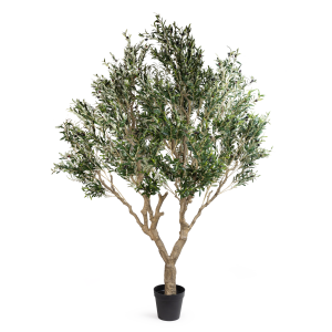 PLANT DECORATIVE OLIVE