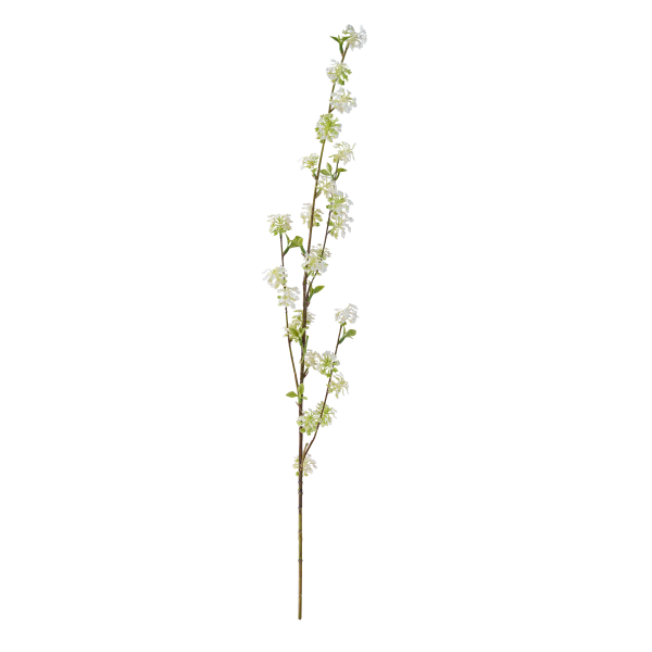 » WILLOW BRANCHES WITH WHITE FLOWERS