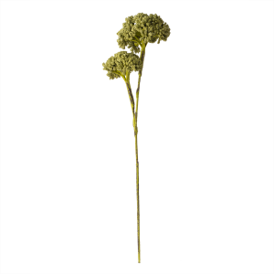 FLOWERS BROCOLI